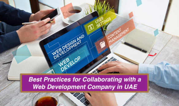 Best-Practices-for-Collaborating-with-a-Web-Development-Company-in-UAE