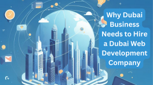 dubai web development company